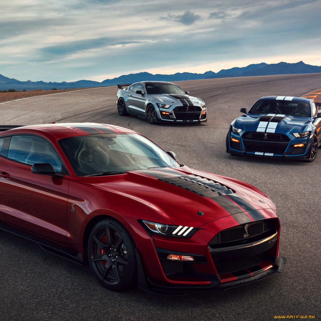 Обои 2020 Ford Mustang Shelby GT500 Автомобили Mustang, обои для рабочего  стола, фотографии 2020 ford mustang shelby gt500, автомобили, mustang,  shelby, ford, купе, форд, трек, gt500, 2020 Обои для рабочего стола, скачать